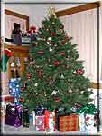 Robb & Stacie's Christmas tree